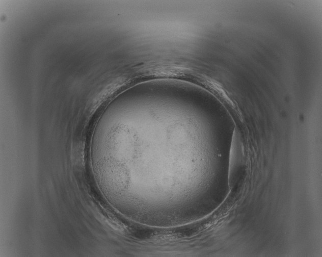 X0000066940299200603311424