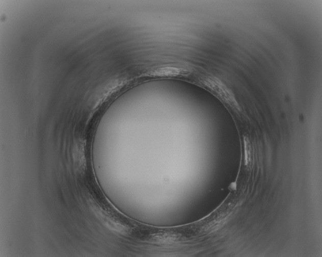 X0000066940300200603311424