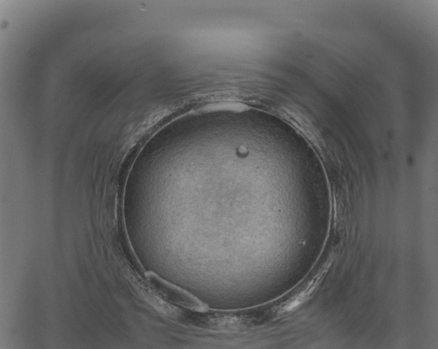 X0000066940301200603311424