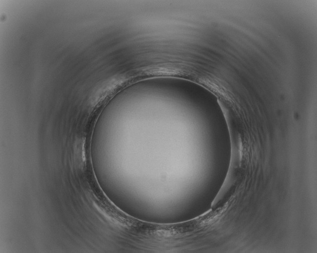 X0000066940302200603311424