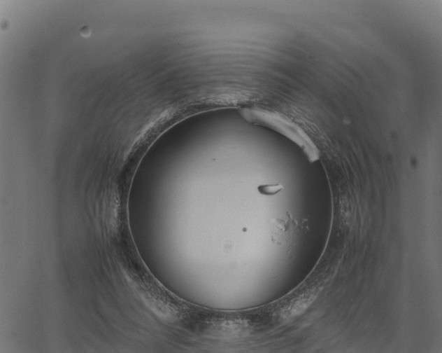 X0000066940304200603311424