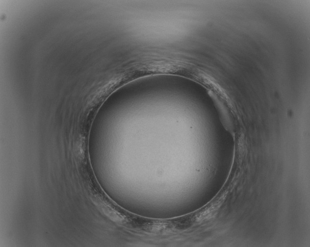 X0000066940305200603311424