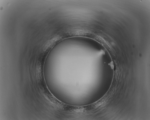 X0000066940306200603311424