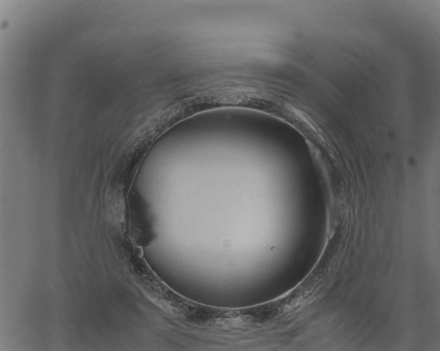 X0000066940307200603311424