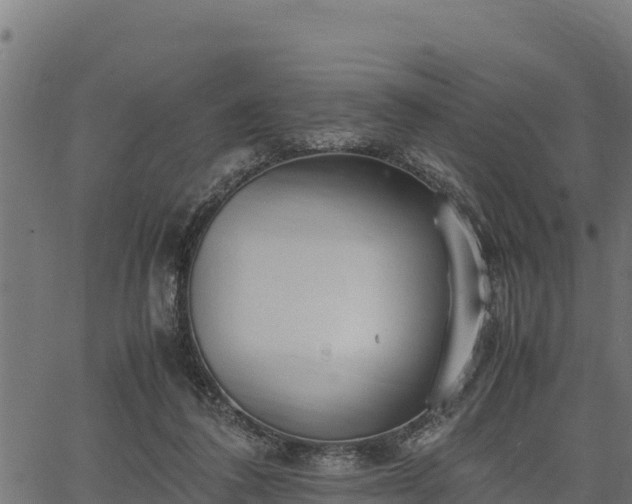 X0000066940308200603311424