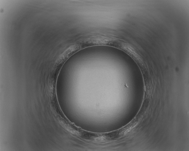 X0000066940309200603311424