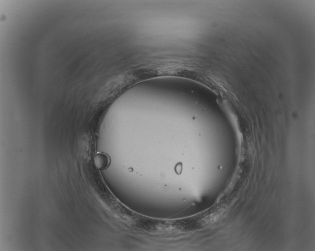 X0000066940311200603311424