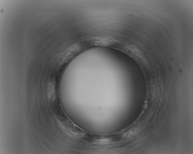 X0000066940312200603311424