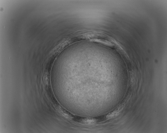 X0000066940313200603311424