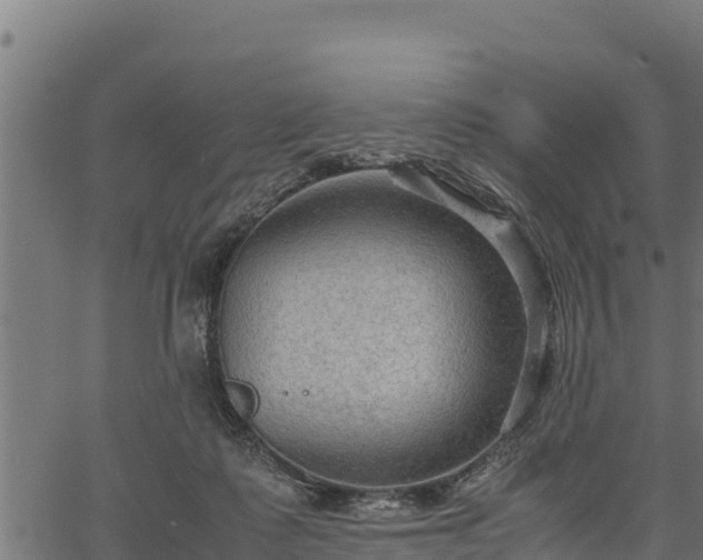 X0000066940315200603311424