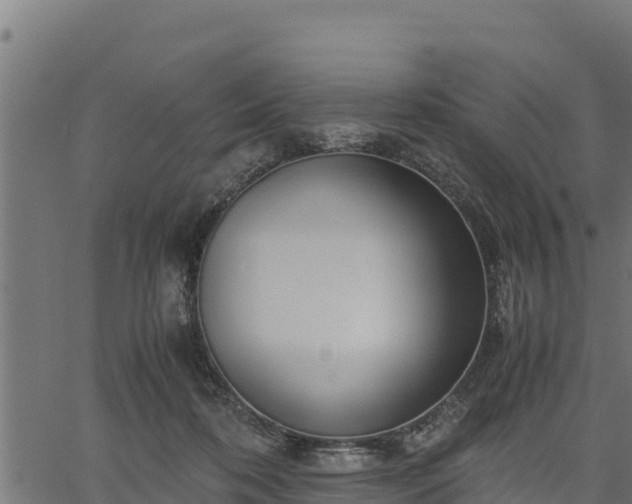 X0000066940316200603311424