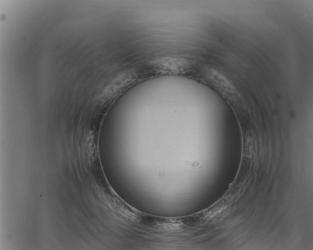 X0000066940318200603311423