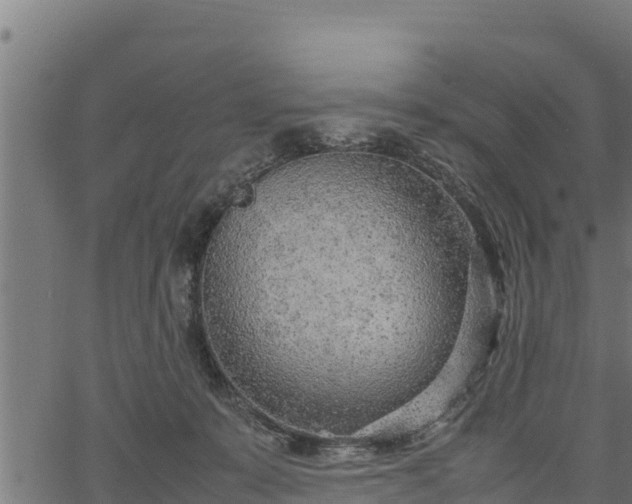 X0000066940319200603311423