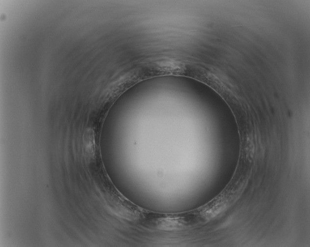 X0000066940320200603311423