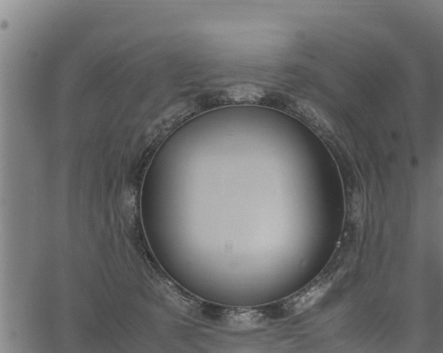 X0000066940321200603311423