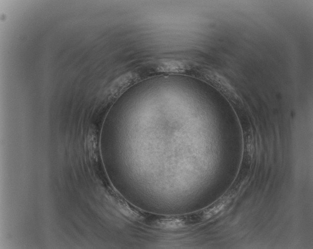 X0000066940322200603311423