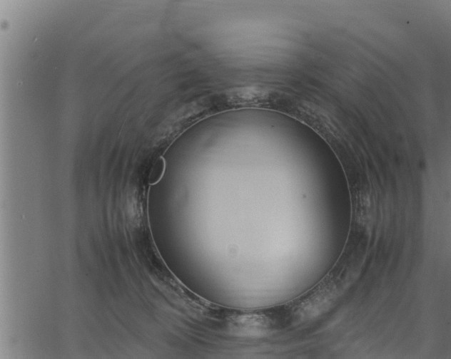 X0000066940324200603311423