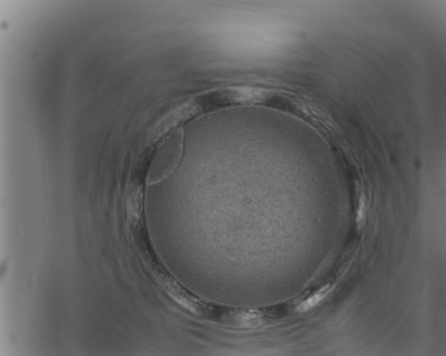 X0000066940325200603311423