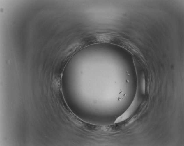 X0000066940329200603311423