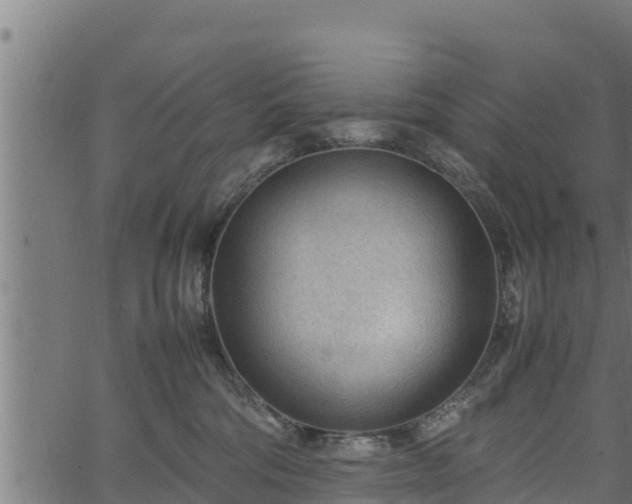 X0000066940330200603311423