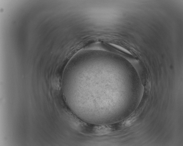 X0000066940331200603311423