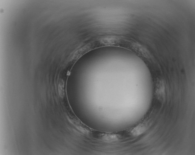 X0000066940332200603311423