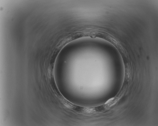 X0000066940333200603311423