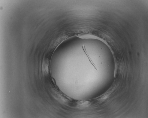 X0000066940334200603311423