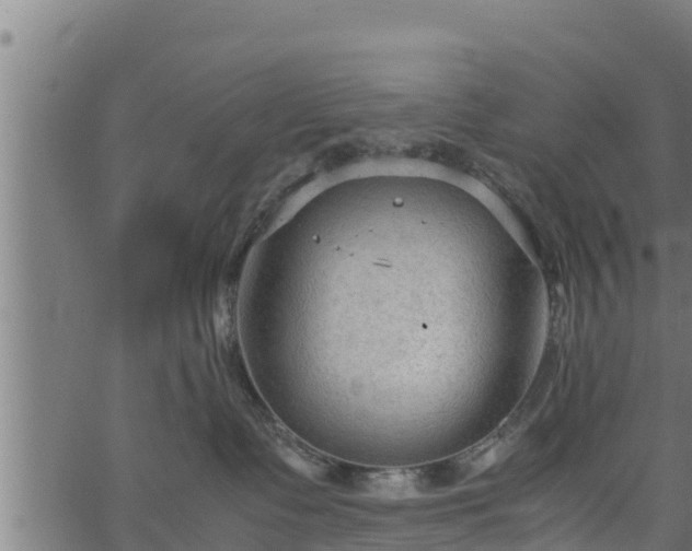 X0000066940335200603311423