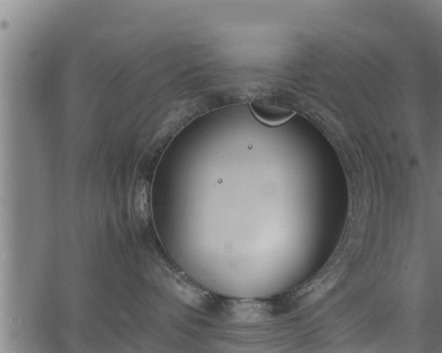 X0000066940336200603311423