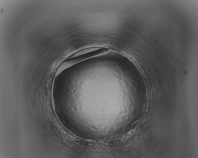 X0000066940337200603311422