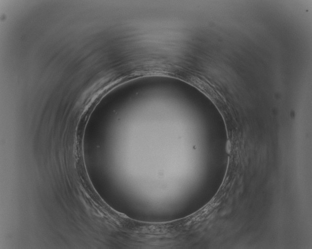 X0000066940338200603311422