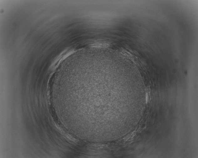 X0000066940339200603311422