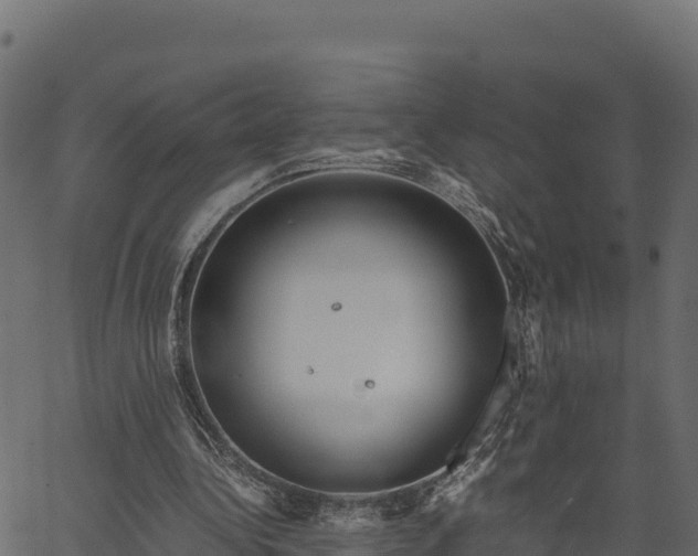 X0000066940340200603311422