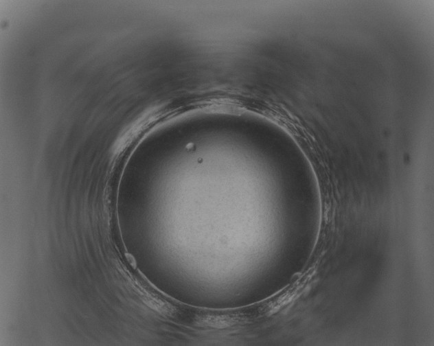 X0000066940341200603311422