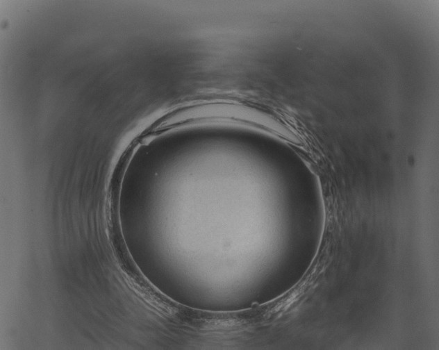 X0000066940342200603311423