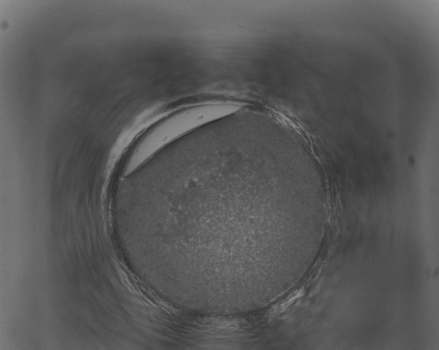 X0000066940343200603311423