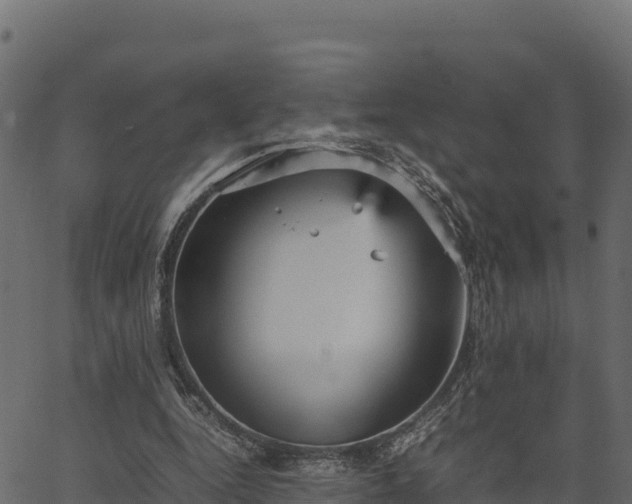 X0000066940344200603311423