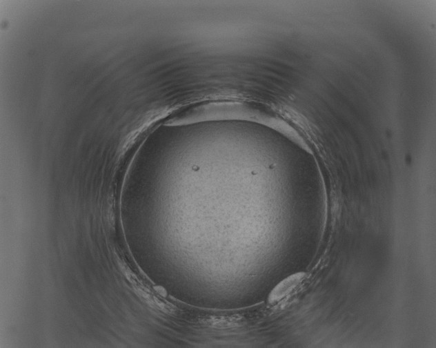 X0000066940345200603311423