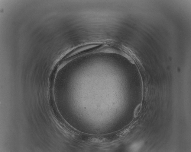 X0000066940346200603311423