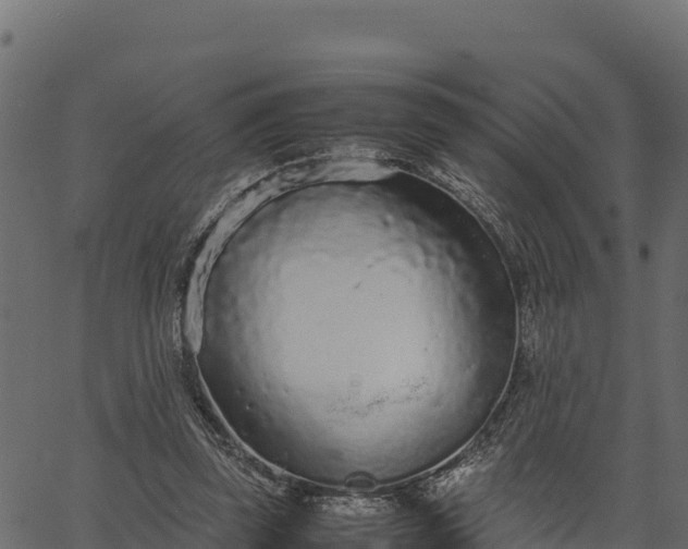 X0000066940347200603311423