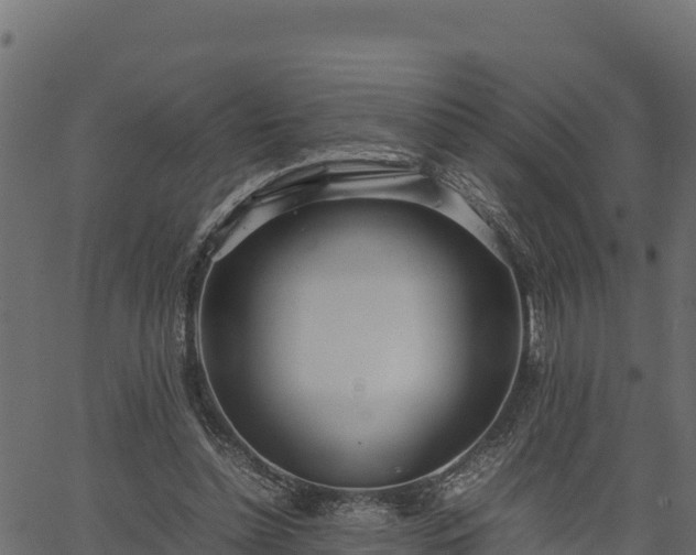 X0000066940348200603311423