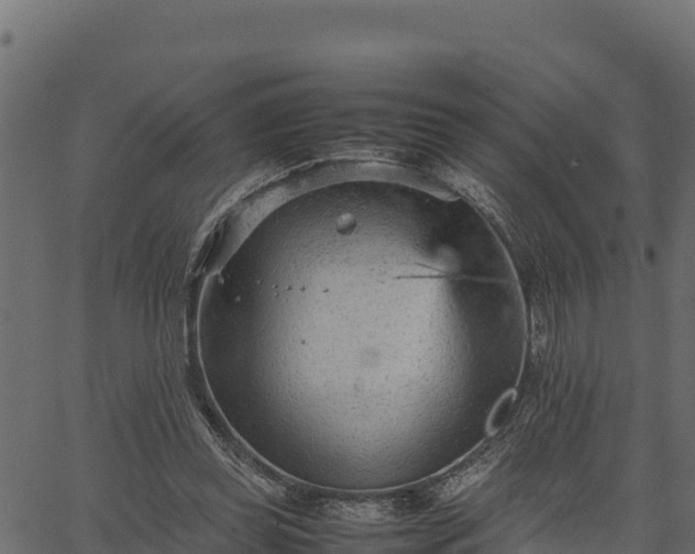 X0000066940349200603311423