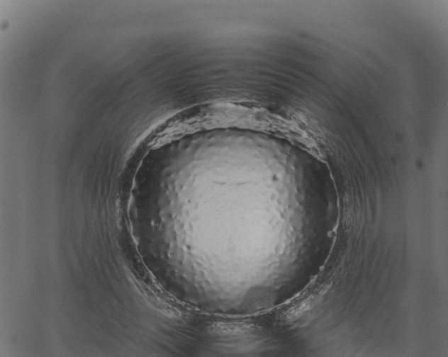 X0000066940351200603311423