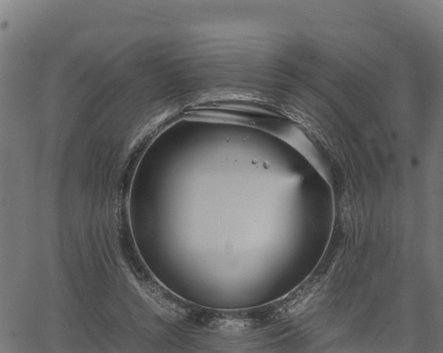 X0000066940352200603311423