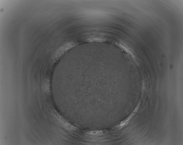 X0000066940353200603311423