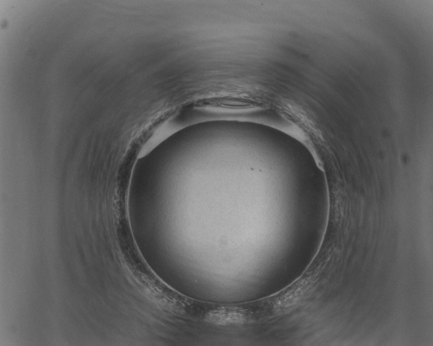 X0000066940354200603311423