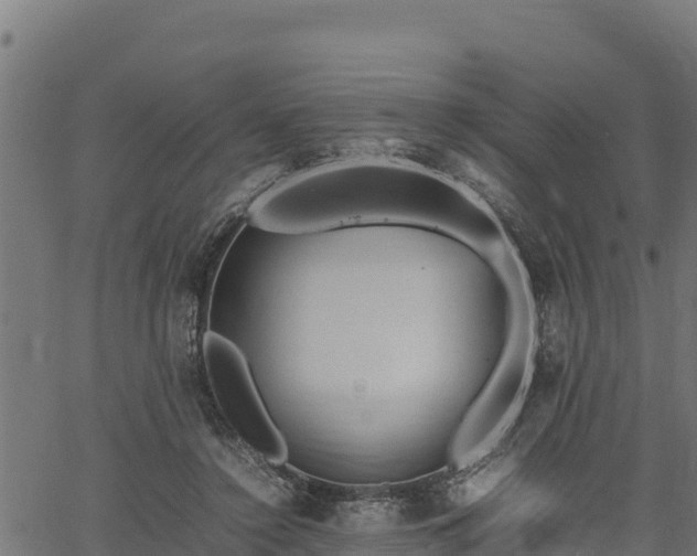 X0000066940356200603311423