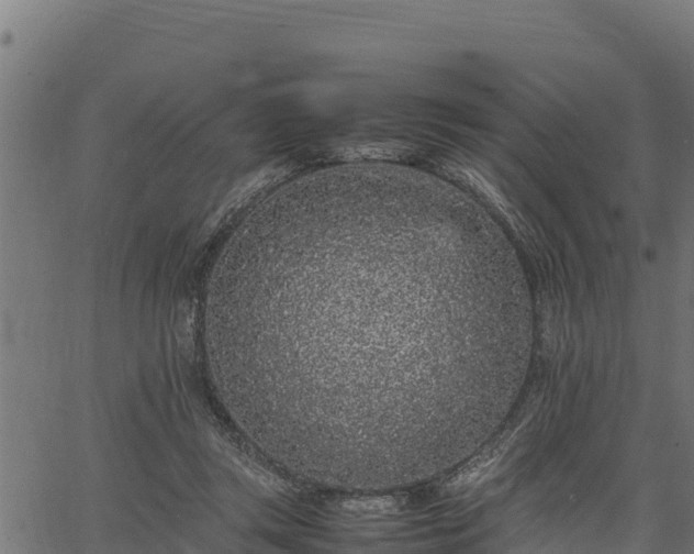 X0000066940357200603311423