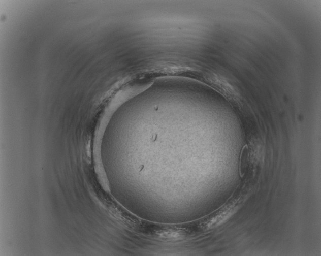 X0000066940358200603311423